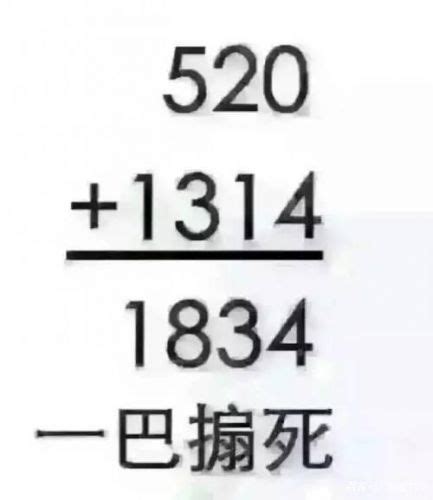 1314意思|1314是什么意思？